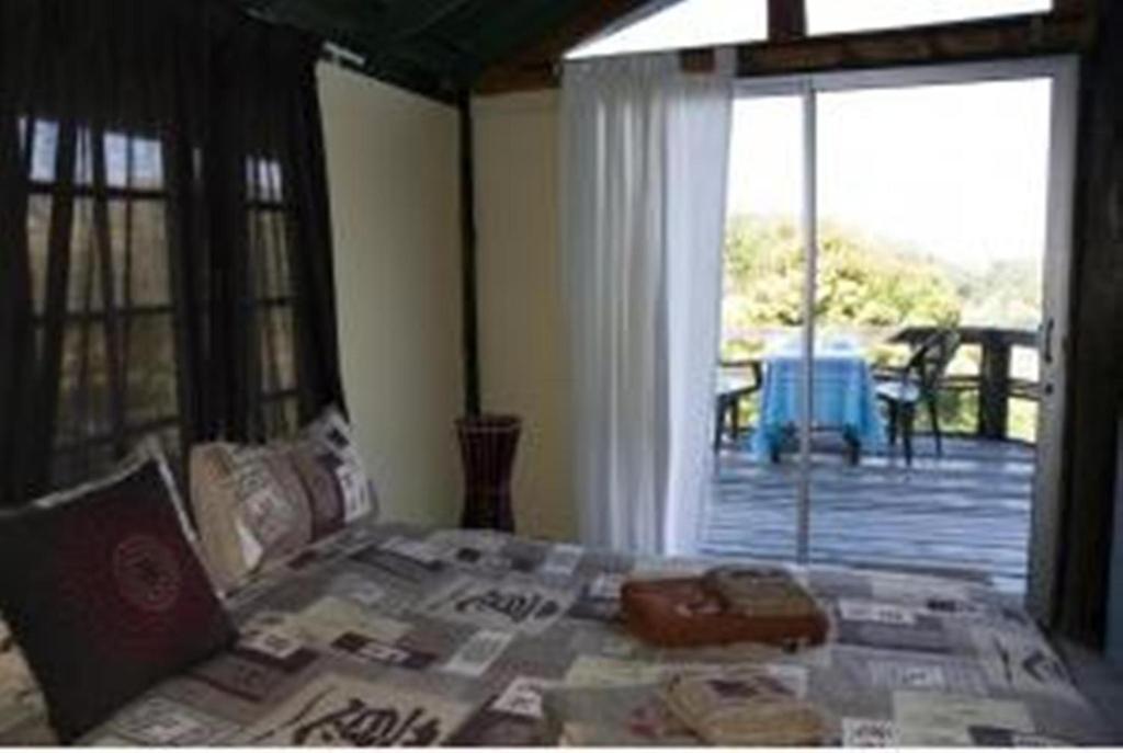 Amapondo Backpacker Lodge Port Saint Johnʼs Zimmer foto